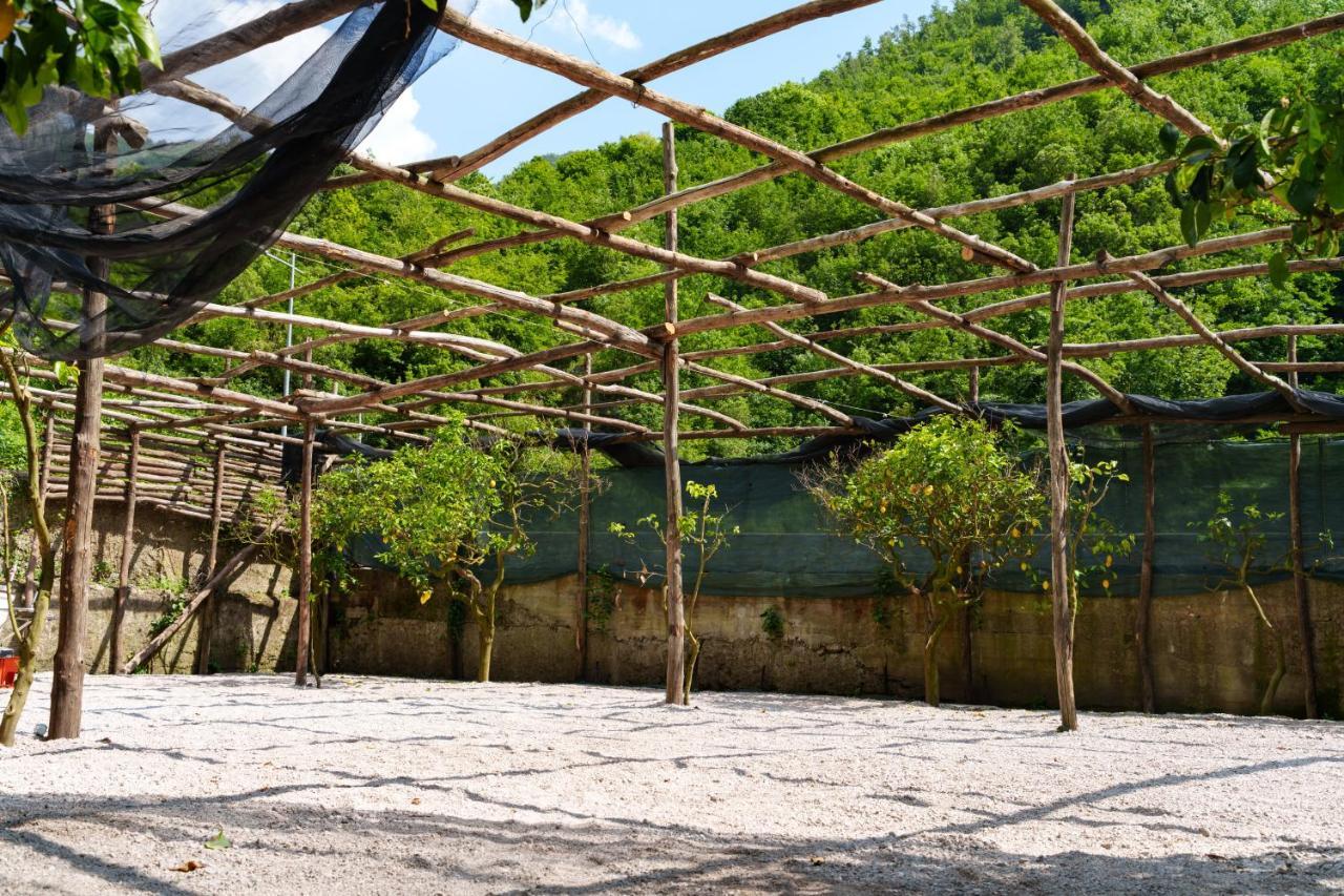 Montagnella Relax Acomodação com café da manhã Maiori Exterior foto